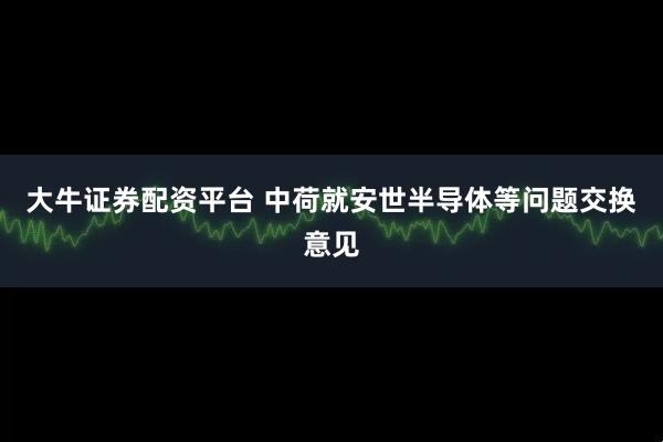 大牛证券配资平台 中荷就安世半导体等问题交换意见