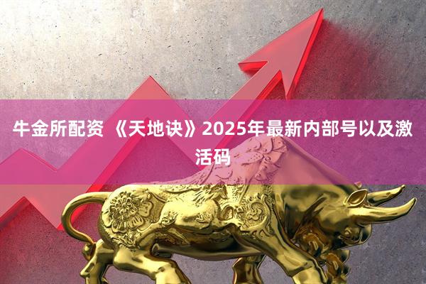 牛金所配资 《天地诀》2025年最新内部号以及激活码