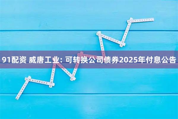 91配资 威唐工业: 可转换公司债券2025年付息公告