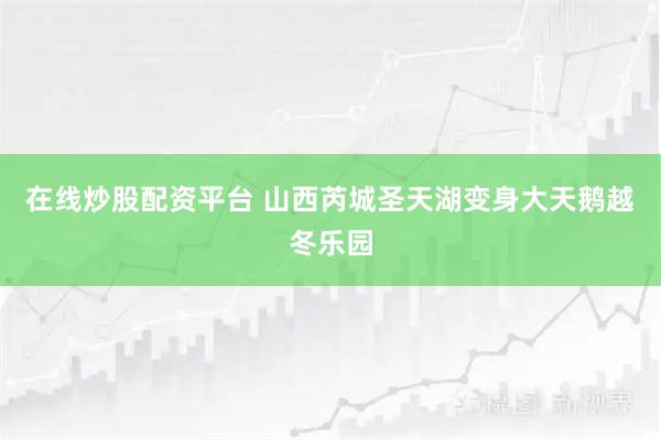 在线炒股配资平台 山西芮城圣天湖变身大天鹅越冬乐园
