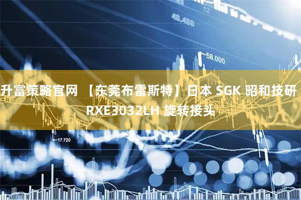 升富策略官网 【东莞布雷斯特】日本 SGK 昭和技研 RXE3032LH 旋转接头