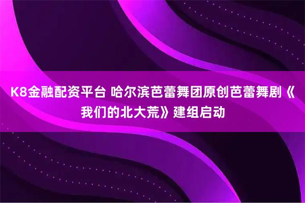 K8金融配资平台 哈尔滨芭蕾舞团原创芭蕾舞剧《我们的北大荒》建组启动